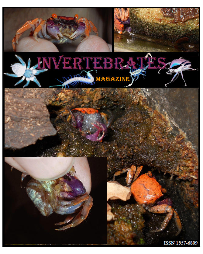 Invertebrates-Magazine (2016)