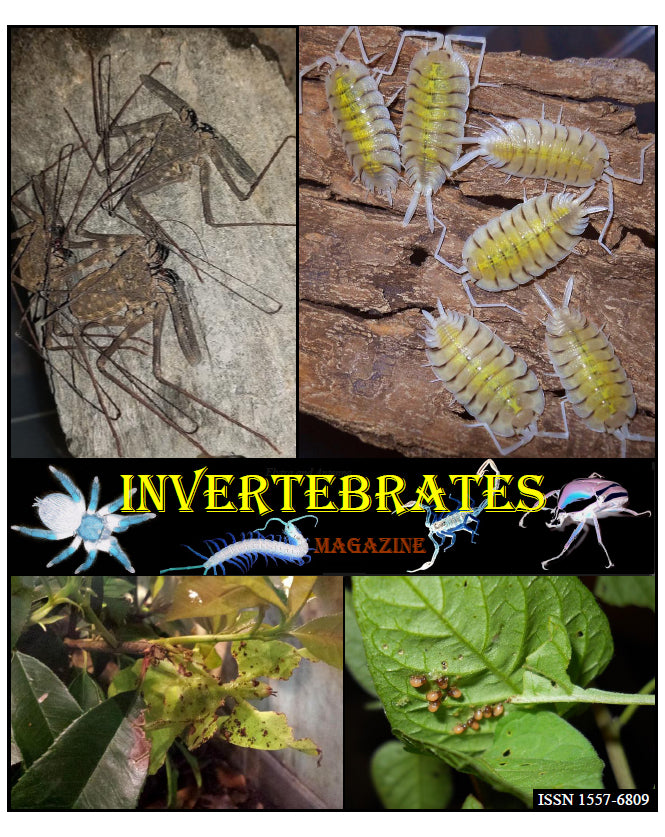 Invertebrates-Magazine (2018)