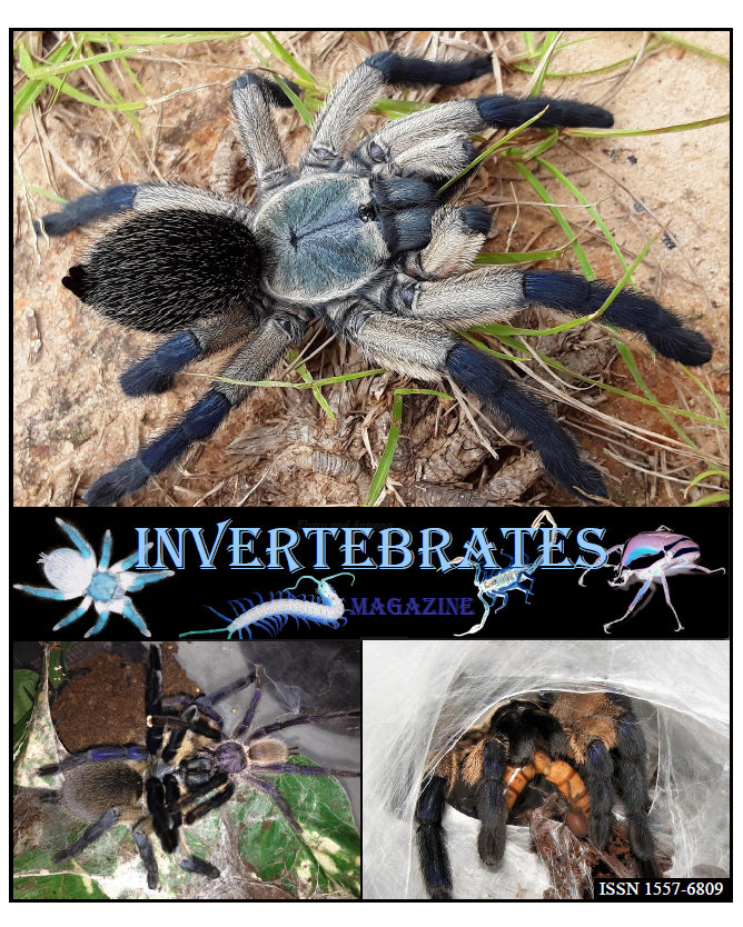 Invertebrates-Magazine (2018)