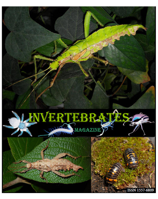 Invertebrates-Magazine (2020)