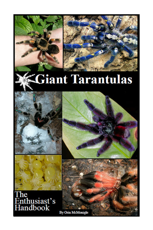Giant Tarantulas: The Enthusiast's Handbook