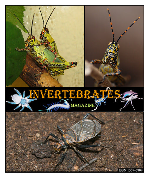 Invertebrates-Magazine (2021)
